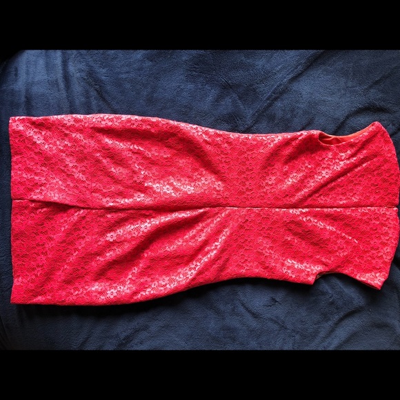 Pink Lace Dress - Picture 2 of 4